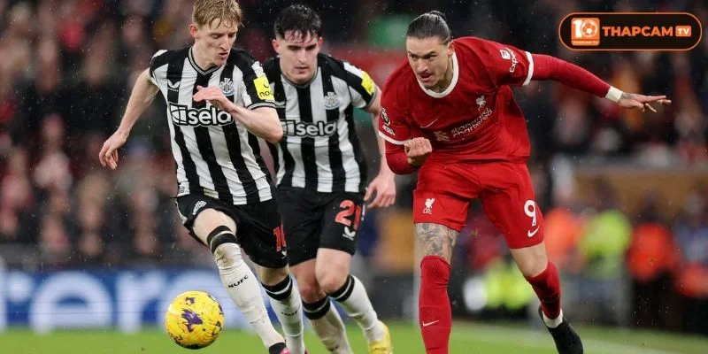  Lịch sử đối đầu Newcastle United vs Liverpool cho thấy Liverpool luôn trên kèo Newscastle.